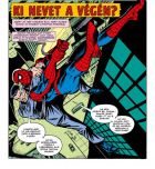 Click to open image!